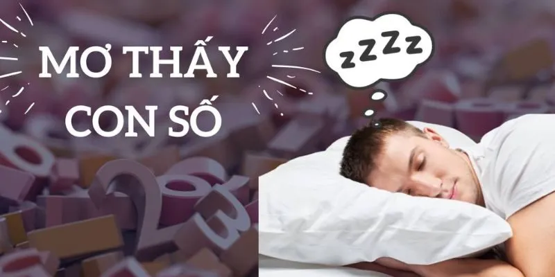 Số Mơ Là Gì? Nhà Cái AB77 Luận Giải Ý Nghĩa Chi Tiết Nhất